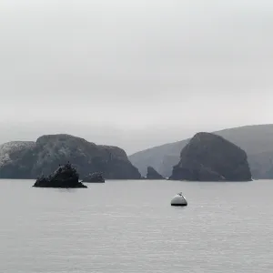 Santa Barbara Island trip, Island & buoy