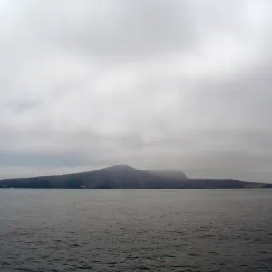 Santa Barbara Island trip 