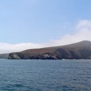 Santa Barbara Island trip 