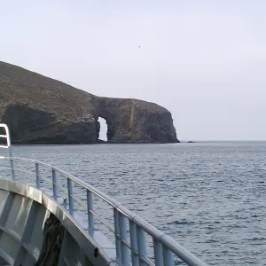 Santa Barbara Island trip, Arch Point