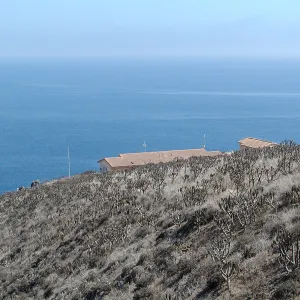 Santa Barbara Island trip 