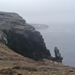 Santa Barbara Island trip 
