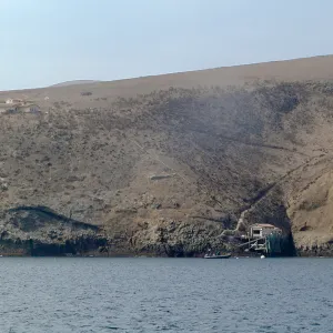 Santa Barbara Island Trip, Landing Cove