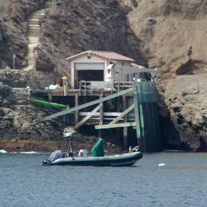 Santa Barbara Island Trip, Landing Cove