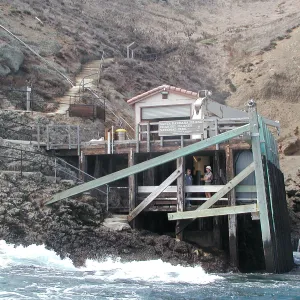 Santa Barbara Island Trip, Landing Cove