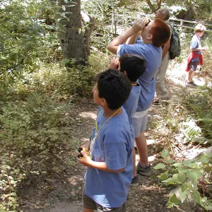 Summer Camp 2003