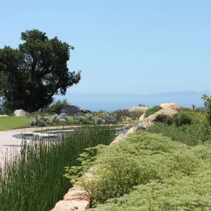 Island View Garden