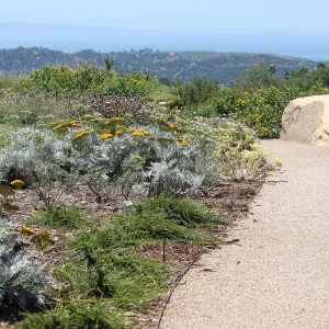 Island View Garden