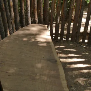 Bench in the Understory Casita