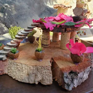 Fairy Homes and Nature Crafts