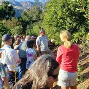 California Naturalist Docent Walk with Rck Zelazny