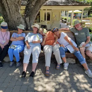 Dozing Docents