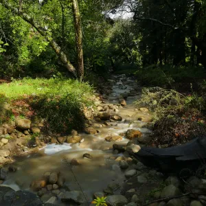 Rain-swollen Mission Creek just above the Mission Dam