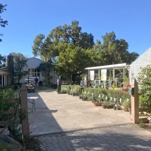 Gardenâ€™s 95th Birthday display