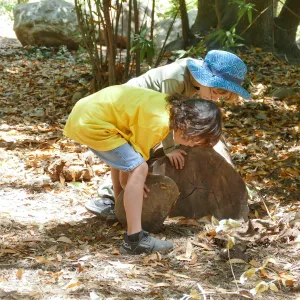 Acorn Adventurers Summer Campers looking under rocks