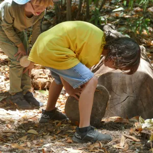 Acorn Adventurers Summer Campers looking under rocks