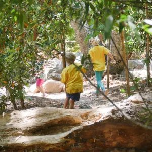 Acorn Adventurers Summer Camp