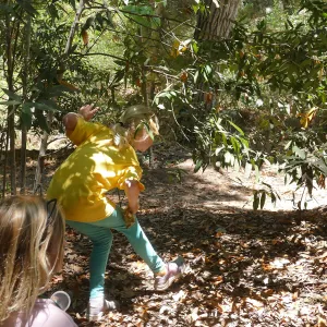 Acorn Adventurers Summer Camp