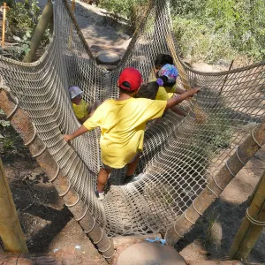 Create in Nature Summer Camp