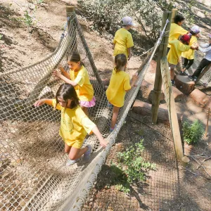 Create in Nature Summer Camp