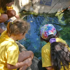 Create in Nature Summer Camp