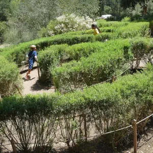 Create in Nature Summer Campers at the Centennial Maze