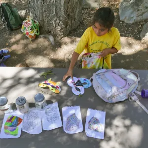 Create in Nature Summer Camp