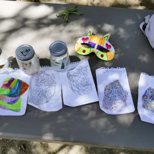 Create in Nature Summer Camp
