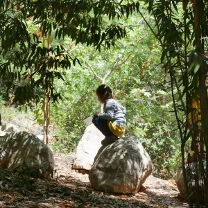 Acorn Adventurers Summer Camp