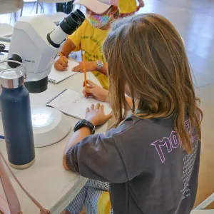 Jr. Naturalist Summer Camp Seed Characteristics Activity