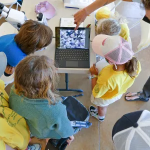 Jr. Naturalist Summer Camp Seed Characteristics Activity