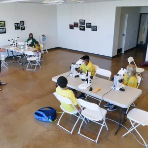 Jr. Naturalist Summer Camp Seed Characteristics Activity