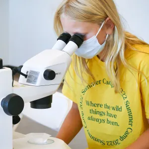 Jr. Naturalist Summer Camp Seed Characteristics Activity