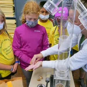 Jr. Naturalist Summer Camp Seed Cleaning Activity