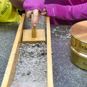 Jr. Naturalist Summer Camp Seed Cleaning Activity