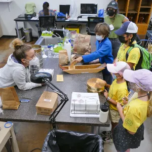 Jr. Naturalist Summer Camp Seed Cleaning Activity