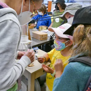 Jr. Naturalist Summer Camp Seed Cleaning Activity
