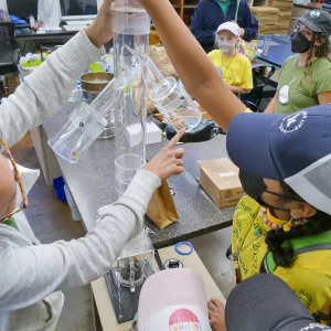 Jr. Naturalist Summer Camp Seed Cleaning Activity
