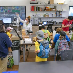 Jr. Naturalist Summer Camp Seed Cleaning Activity