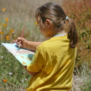 Create in Nature Summer Camp Meadow Painting Activity