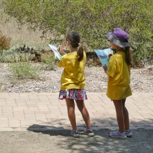 Create in Nature Summer Camp Meadow Painting Activity