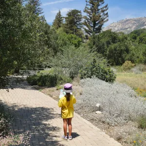 Create in Nature Summer Camp Meadow Painting Activity