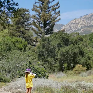 Create in Nature Summer Camp Meadow Painting Activity