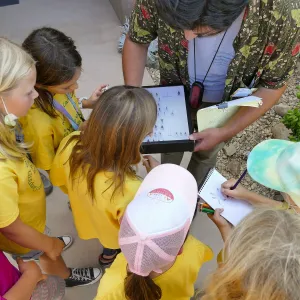Jr. Naturalist Summer Camp Pollinator Survey Activity