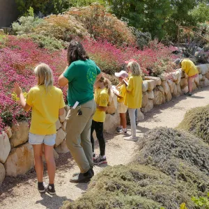 Jr. Naturalist Summer Camp Pollinator Survey Activity