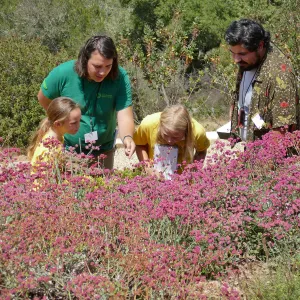 Jr. Naturalist Summer Camp Pollinator Survey Activity