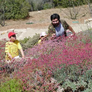 Jr. Naturalist Summer Camp Pollinator Survey Activity