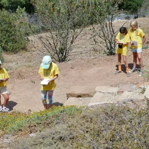 Jr. Naturalist Summer Camp Pollinator Survey Activity