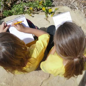 Jr. Naturalist Summer Camp Pollinator Survey Activity