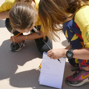 Jr. Naturalist Summer Camp Pollinator Survey Activity